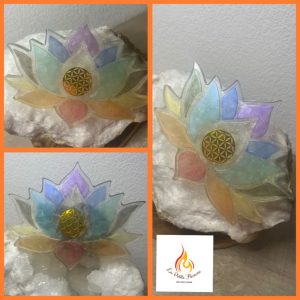 Fleur De Lotus Douceur Chakras