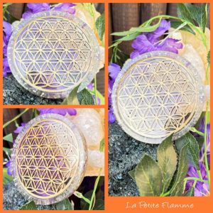 Plateau Fleur de Vie Fluorite Multicolore